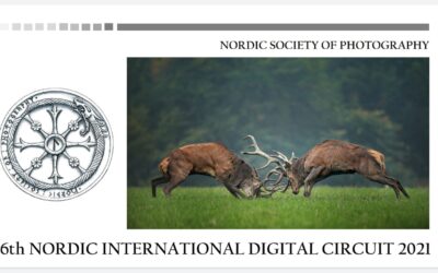 View the catalogue for the 6th Nordic International Digital Circuit 2021