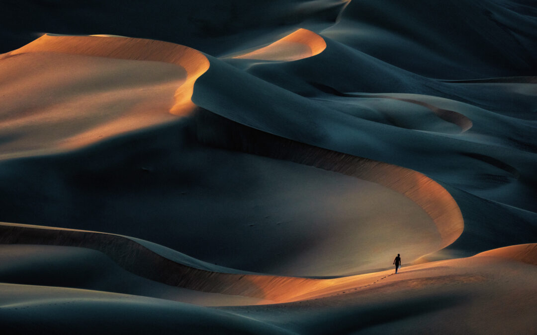 NFFF Gold: Babak Mehrafshar, United Arab Emirates "Magnificence of desert"